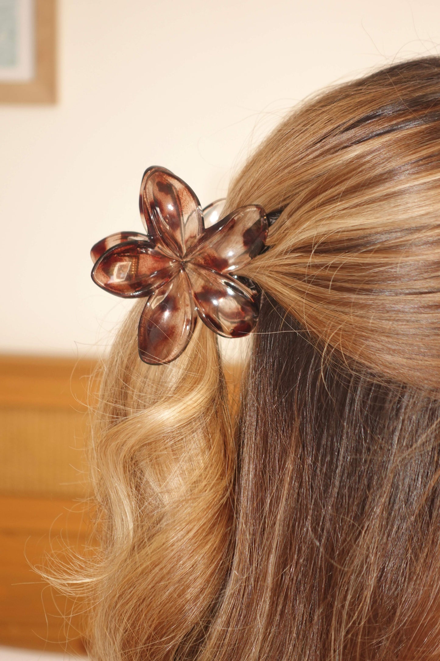 Hair clip PARADISE - Marron